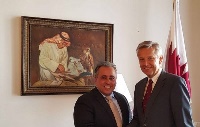 سفير دولة قطر يلتقي مسؤول نمساوي