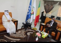 Minister of Foreign Affairs and International Cooperation of Mali Meets Ambassador of Qatar