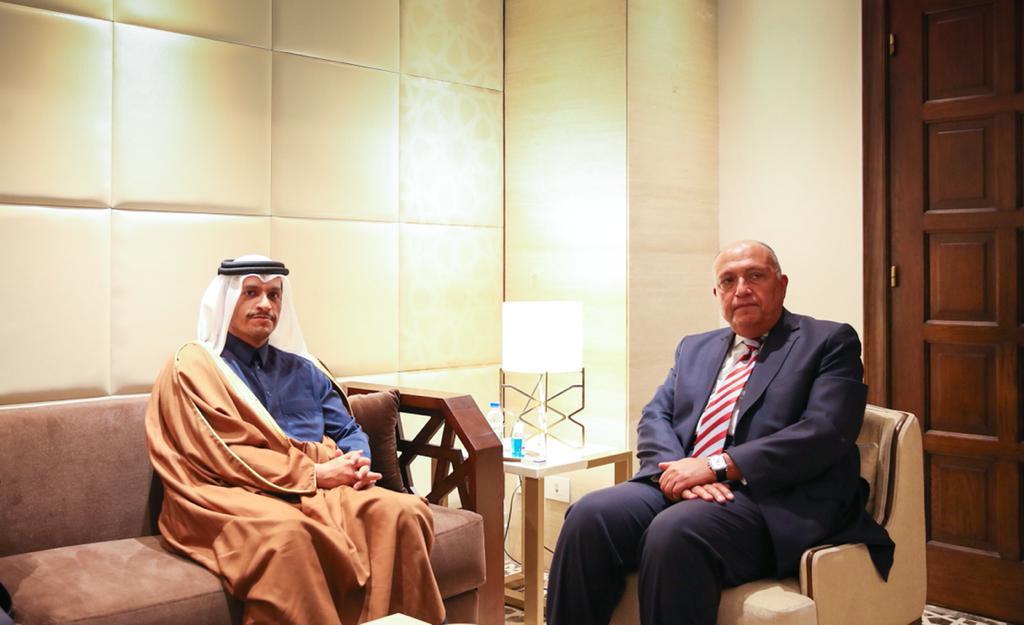 نائب رئيس مجلس الوزراء وزير الخارجية يجتمع مع وزير الخارجية المصري