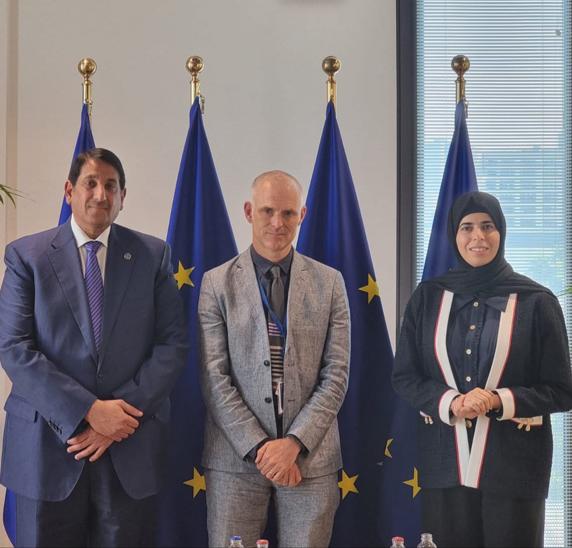 Assistant Foreign Minister Meets European Official