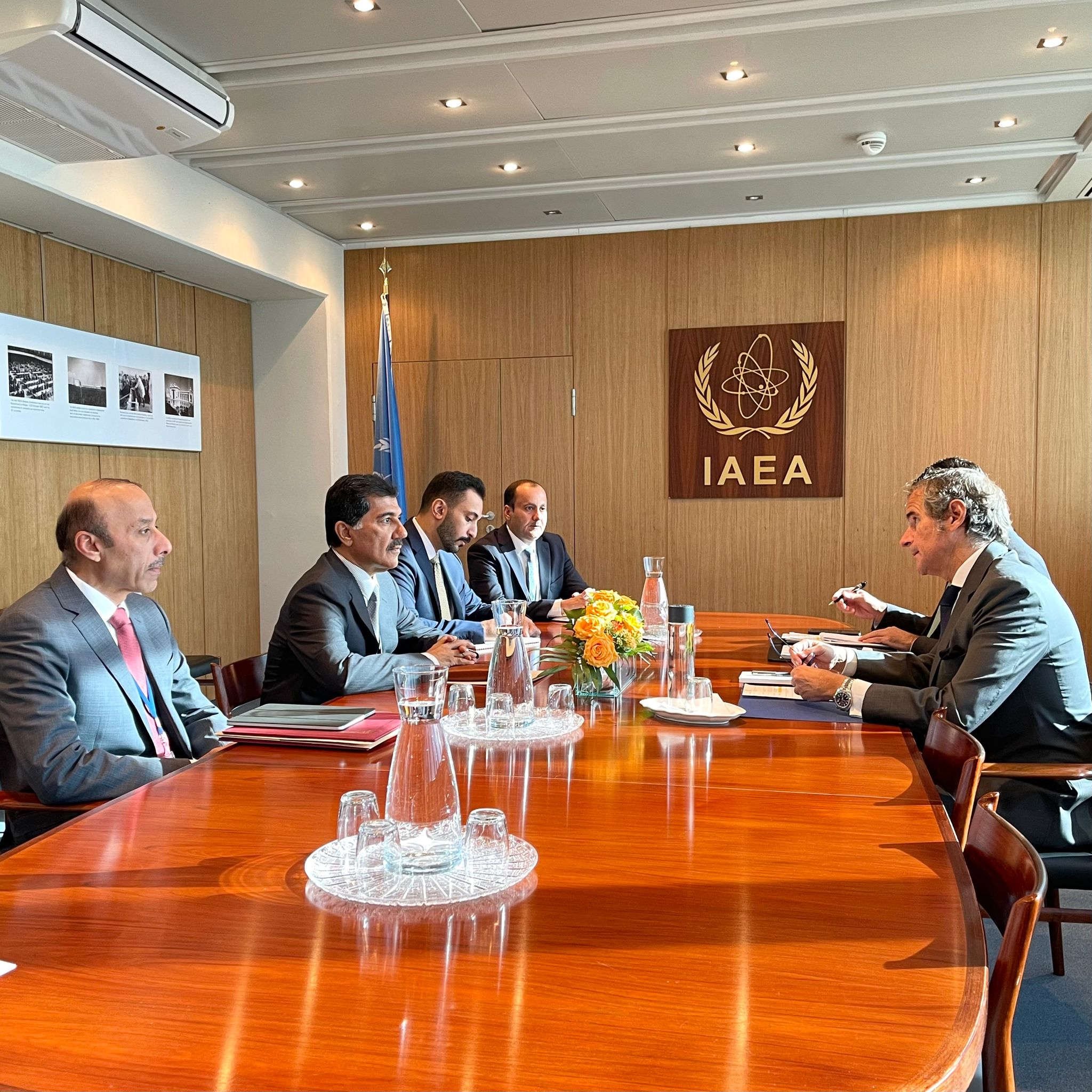 Secretary General of Ministry of Foreign Affairs Meets IAEA's Director General