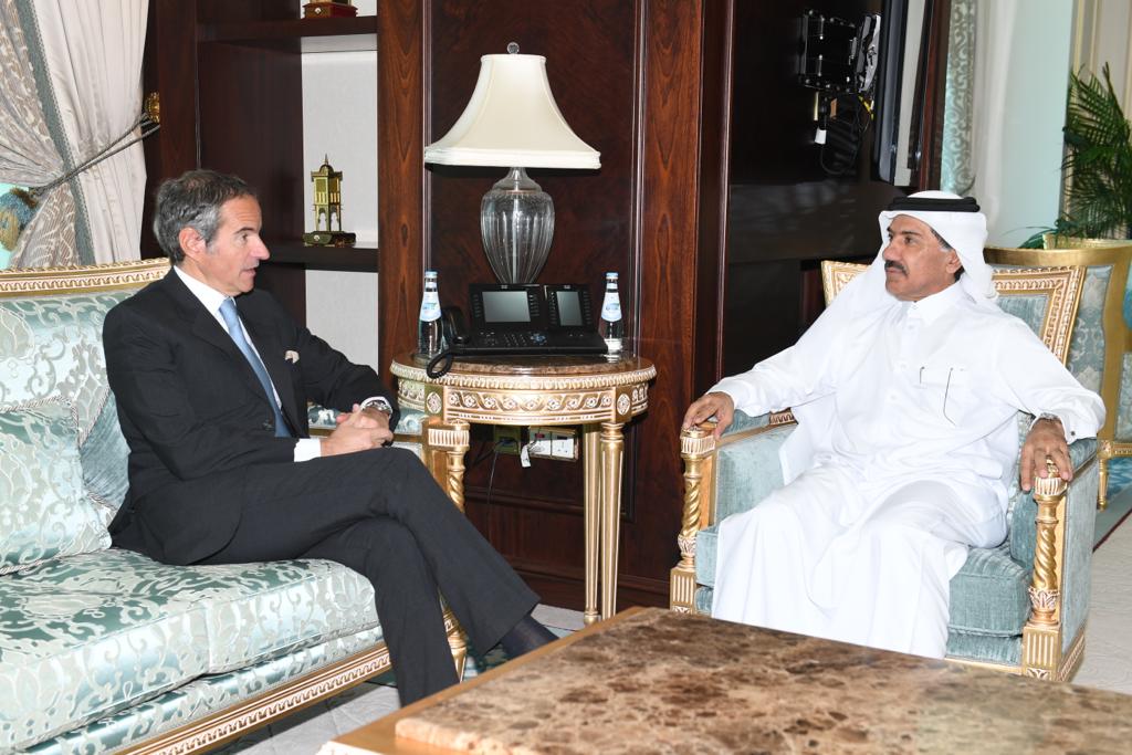 Secretary-General of Ministry of Foreign Affairs Meets IAEA Director-General