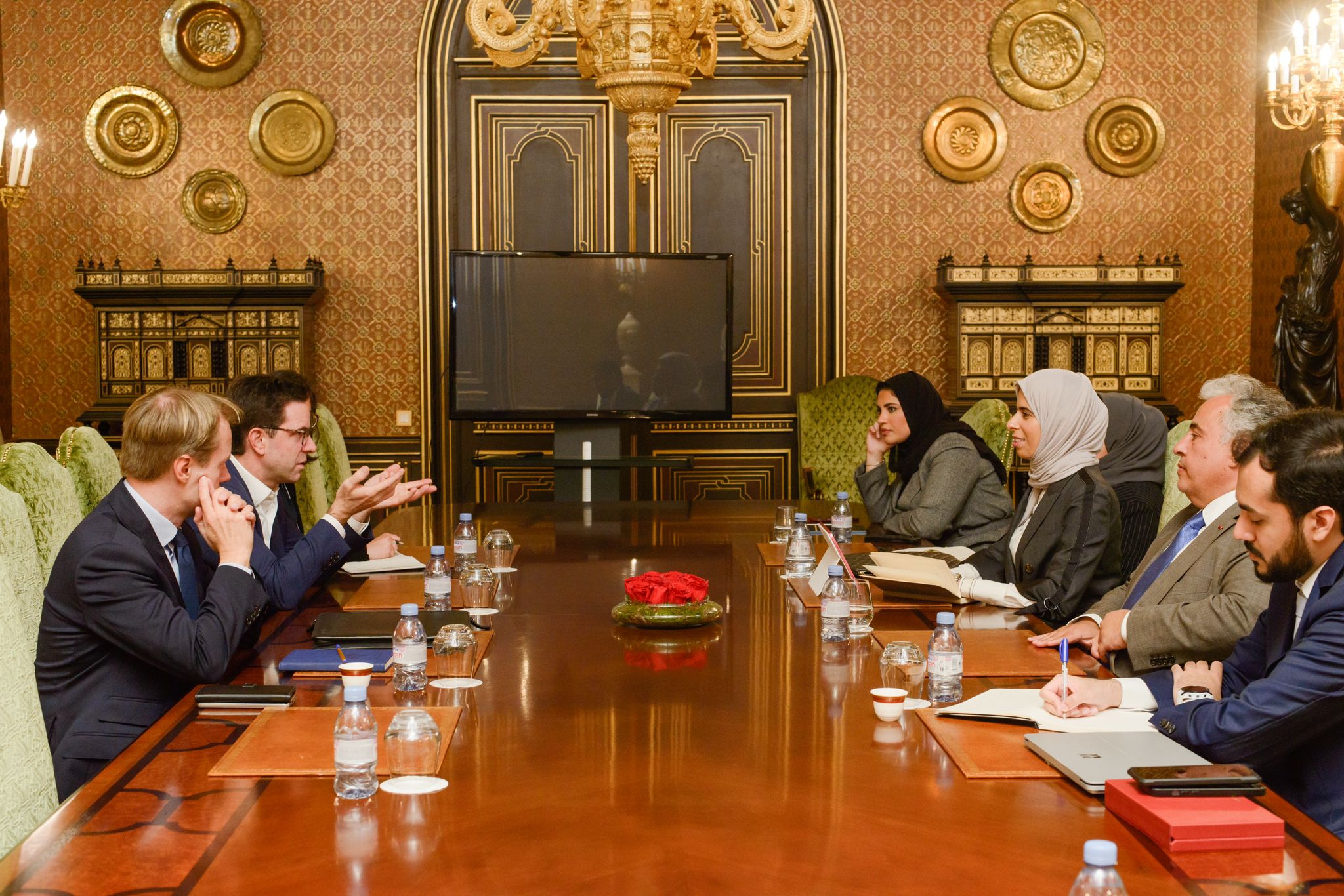 Minister of State for International Cooperation Meets Paris Peace Forum Director-General