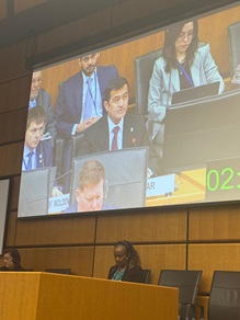 Qatar Reaffirms Support for Palestinian People's Right to Self-Determination and an Independent State