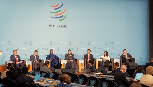 Qatar Calls for Stronger International Support to Help LDCs Graduate by 2031