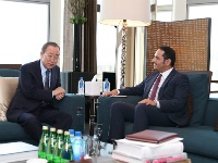 نائب رئيس مجلس الوزراء وزير الخارجية يجتمع مع رئيس المعهد العالمي للنمو الأخضر