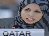 دولة قطر تؤكد مجددا أهمية منح الأولوية لحماية الصحفيين