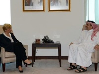 HE Foreign Minister Meets Italian Defense Minister