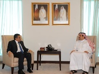 HE Foreign Minister Meets Libyan Counterpart 