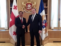 Georgian President Meets Qatari Ambassador